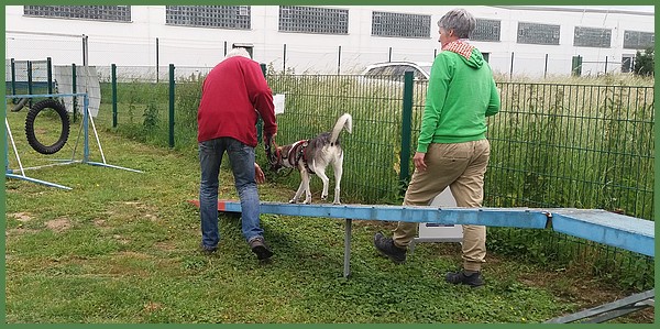 Bertyagility1